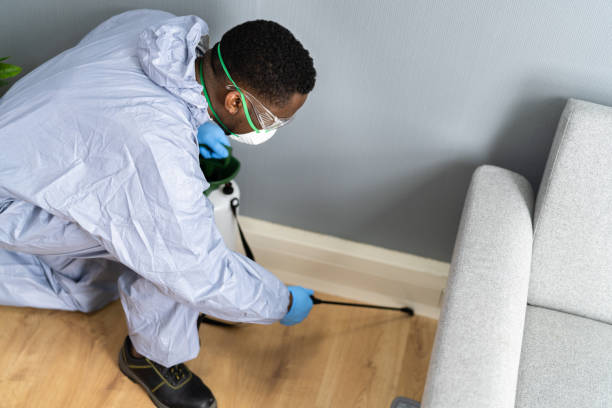 Best Residential Pest Control  in Panaca, NV